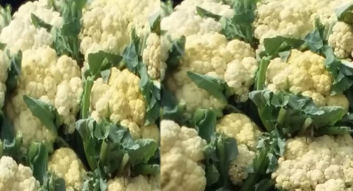 క్యాన్సర్ వ్యాధిని అదుపులో ఉంచే.. అద్భుతమైన ఔషధం..ఇది తింటే చాలు?