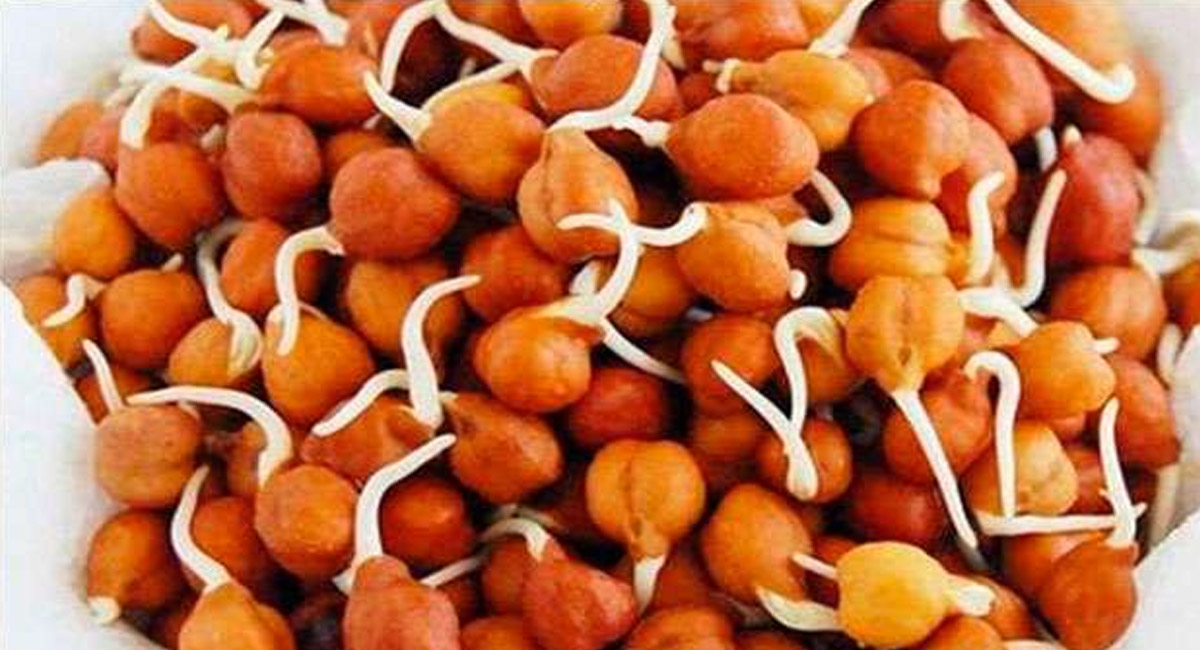 శనగ గింజలను ఈ విధంగా ఉపయోగిస్తే ఉబకాయం, హైబీపీ, క్యాన్సర్, కిడ్నీ సమస్యలకు చెక్ పెట్టవచ్చు..