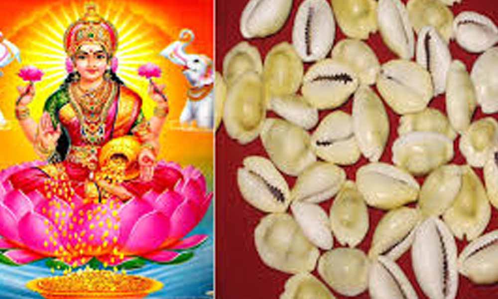 గవ్వలను లక్ష్మీదేవి స్వరూపంగా ఎందుకు భావిస్తారో తెలుసా?