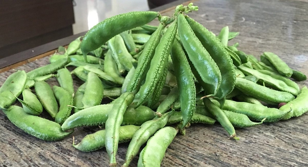 చలి వాతావరణంలో చిక్కుడుకాయను ఆహారంగా తీసుకుంటున్నారా….ఇది తెలుసుకోవాల్సిందే!