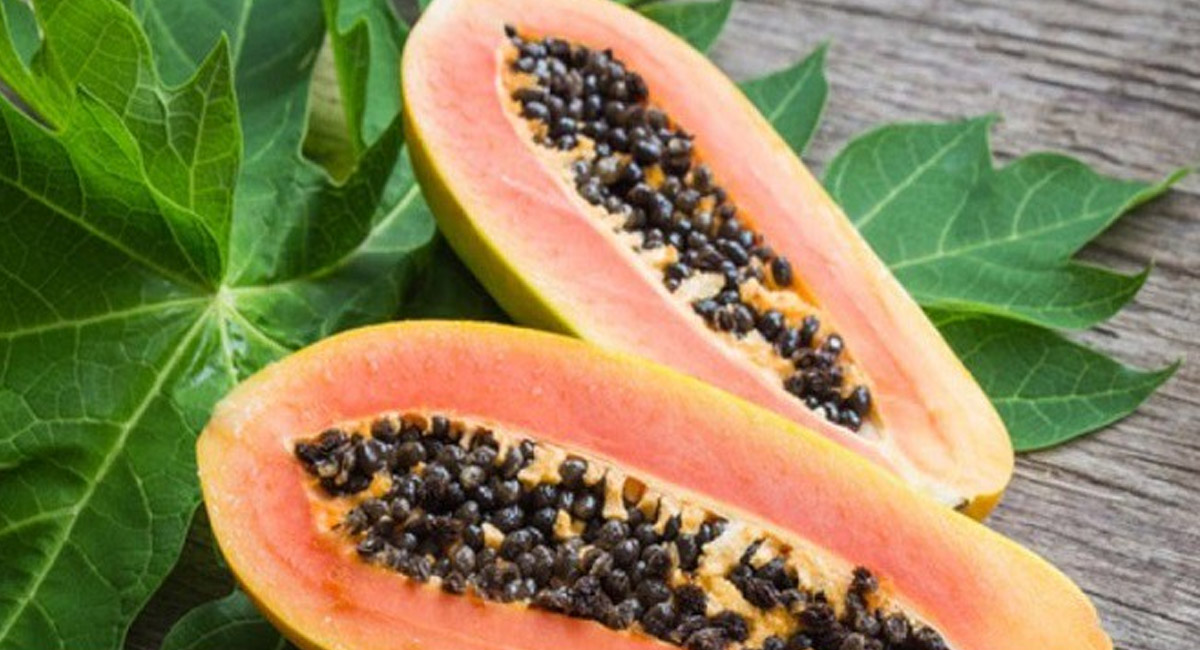 జ్వరం వచ్చినప్పుడు బొప్పాయి పండ్లను అధికంగా తింటే ఏం జరుగుతుందో తెలుసా?