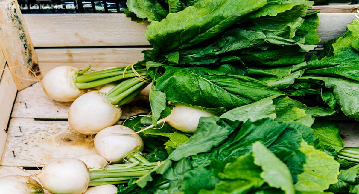 ముల్లంగి ఆరోగ్యానికి మంచిదే.. ఈ విషయాన్ని మాత్రం  గుర్తు పెట్టుకోవాల్సిందే?