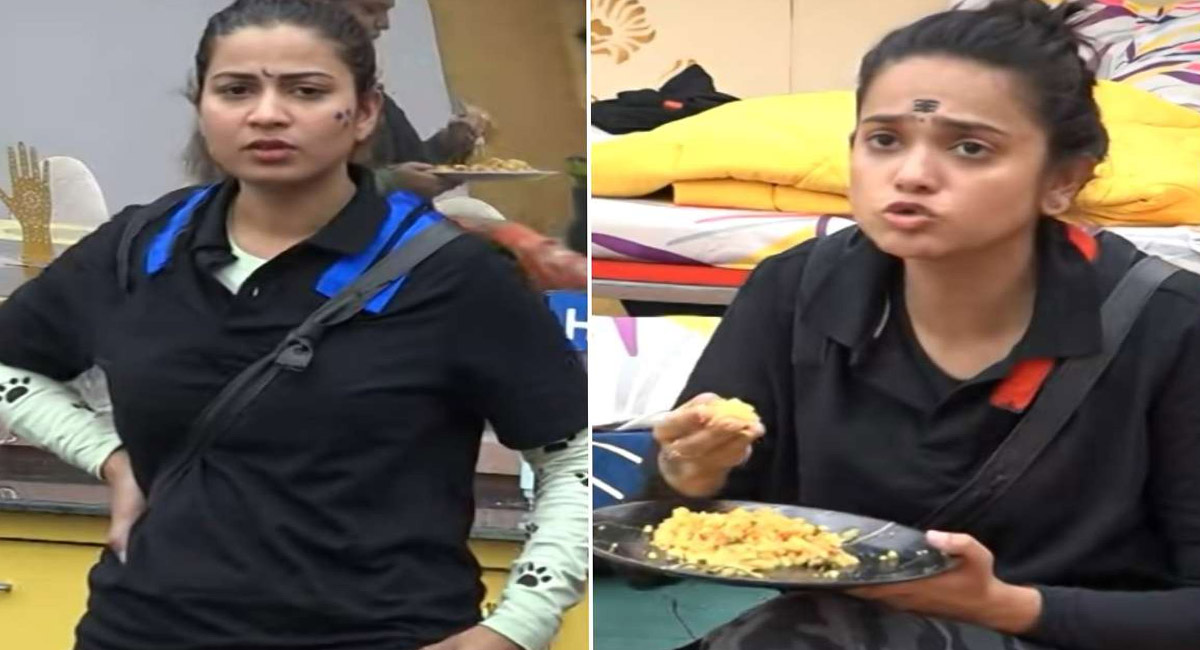 మరో గీతులా మారిపోయిన శ్రీ సత్య… ఎలిమినేషన్ తీసుకోని ఇంటికెళ్ళి కూర్చో అంటూ కామెంట్స్?