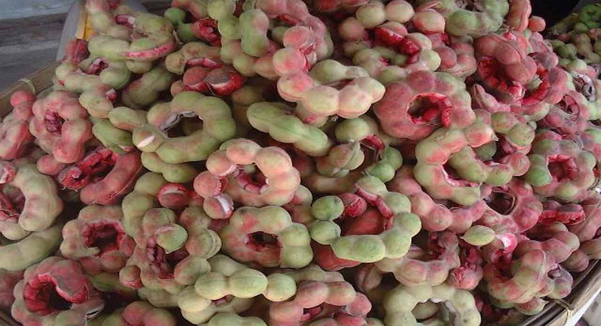 సీజన్లో ఒక్కసారైనా తినాలనిపించే సీమ చింతకాయ ఆరోగ్య ప్రయోజనాలు ఏంటో తెలుసా?