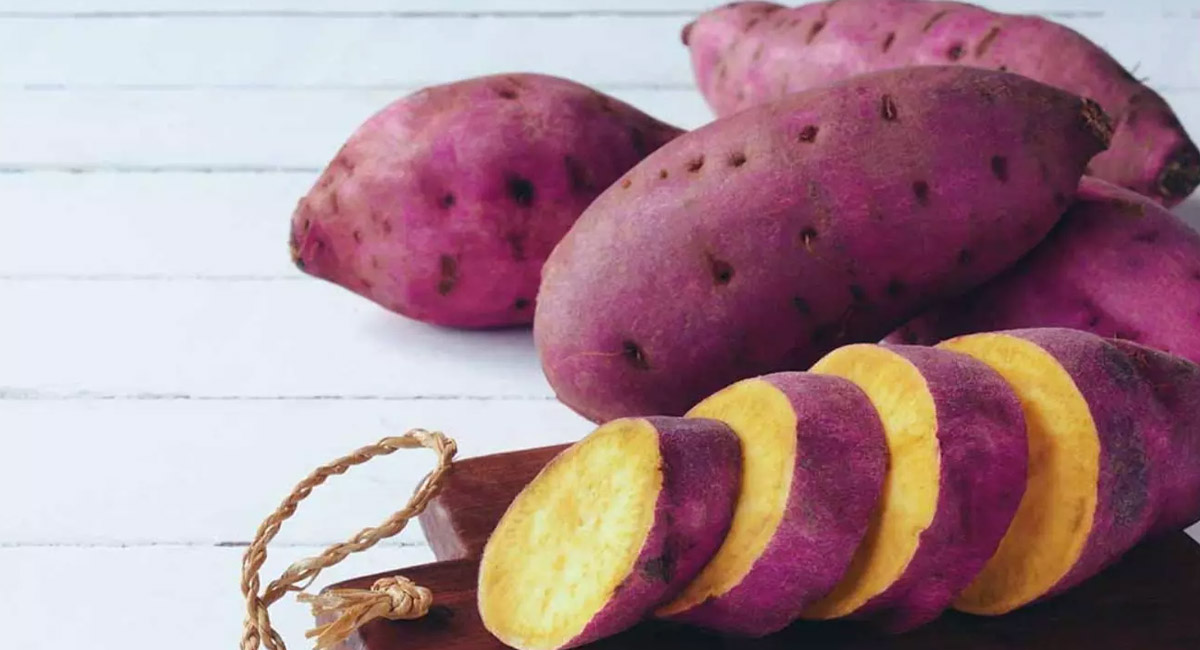 చిలగడ దుంపలను చలికాలంలో తినొచ్చా.. తింటే ఏం జరుగుతుందో తెలుసా?