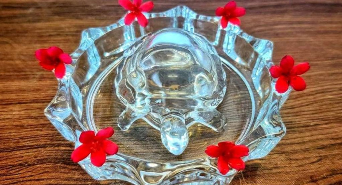 తాబేలు ఉంగరం ధరించడం వల్ల ఇన్ని ఆరోగ్య ప్రయోజనాలా.. ఇంత లాభమొస్తుందా?