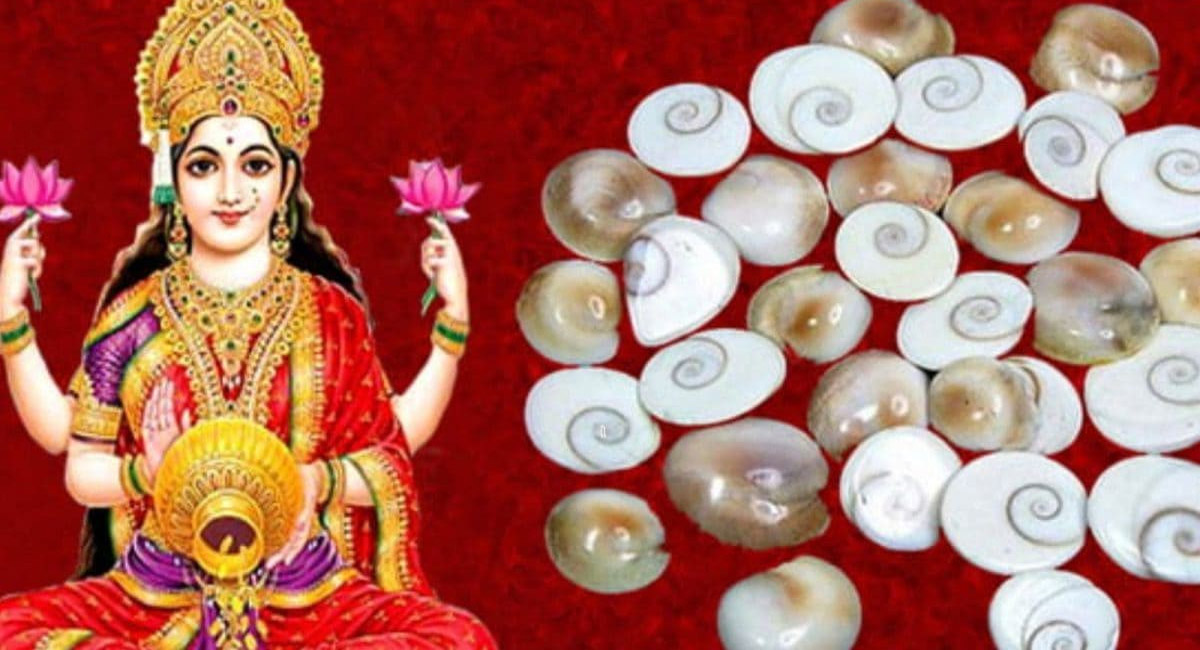 వాస్తు శాస్త్రం ప్రకారం ఈ వస్తువులు వంటగదిలో ఉంటే డబ్బుకు కొదవే ఉండదు!
