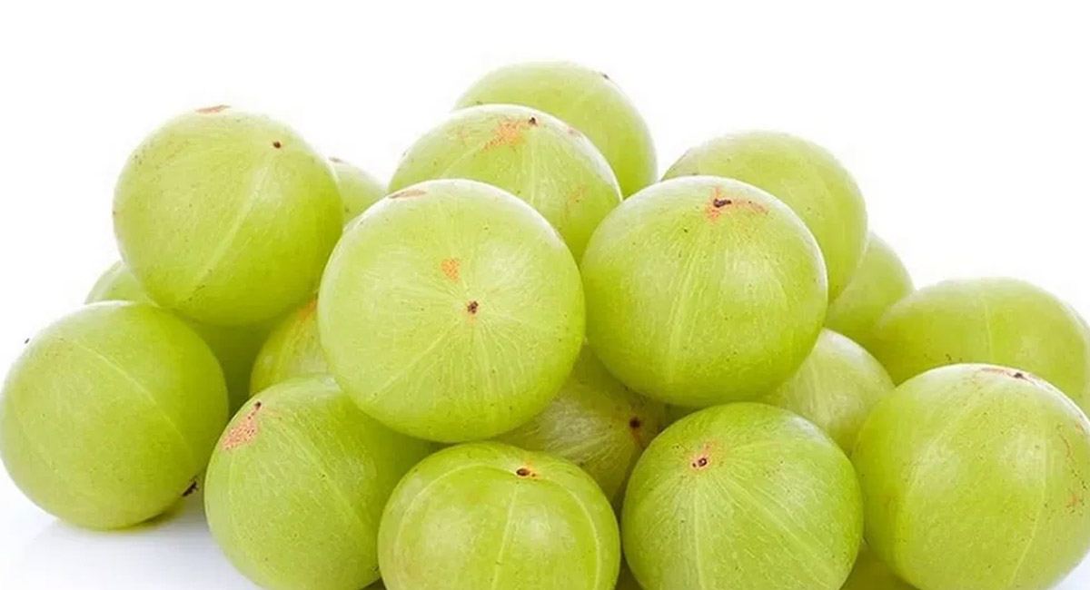 శీతాకాలంలో ఉసిరికాయను ఎక్కువగా తింటున్నారా? ఈ విషయాలను గ్రహించండి!