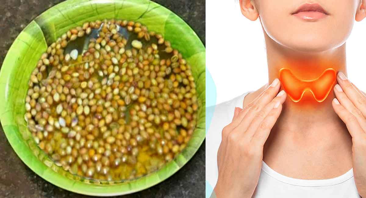 థైరాయిడ్ సమస్య వేధిస్తోందా… ఈ గింజలతో థైరాయిడ్ కు చెక్ పెట్టండి!