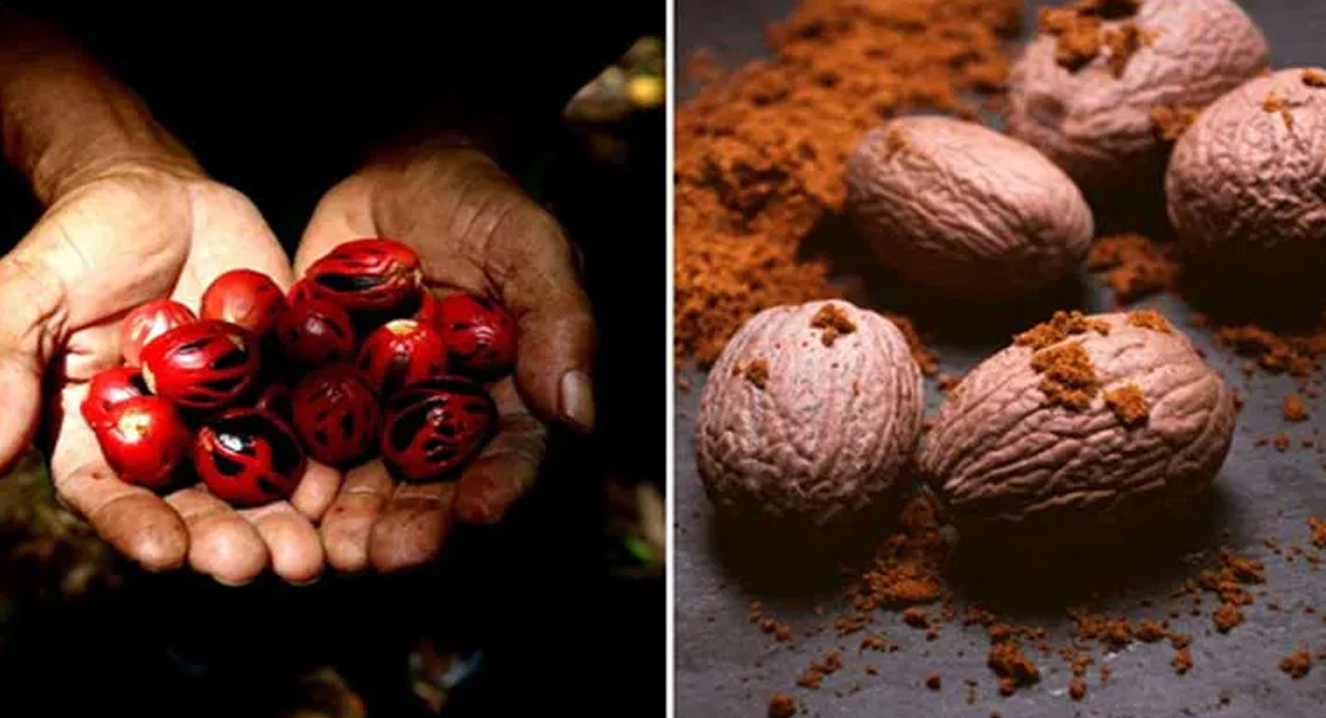 లైంగిక సమస్యలతో బాధపడేవారు జాజికాయ పొడితో ఇలా చేస్తే సమస్యలన్నీ పరార్..!