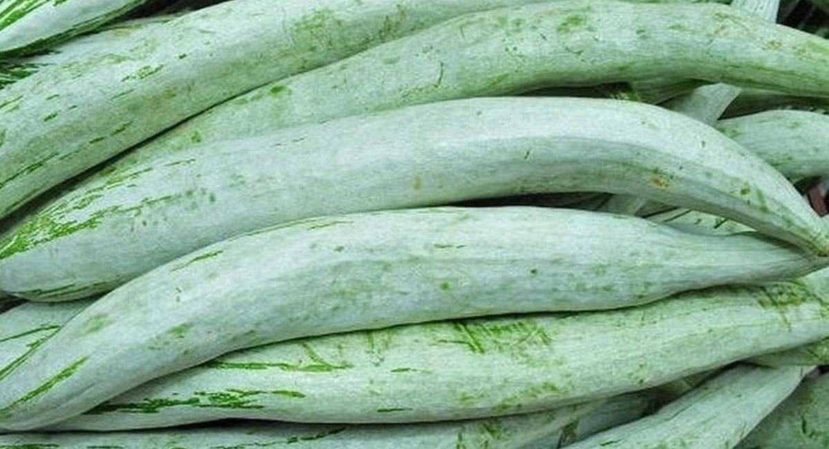 నరాల బలహీనతను, కామెర్ల వ్యాధిని అదుపు చేసే అద్భుతమైన ఆరోగ్య చిట్కా.. మీ కోసమే?