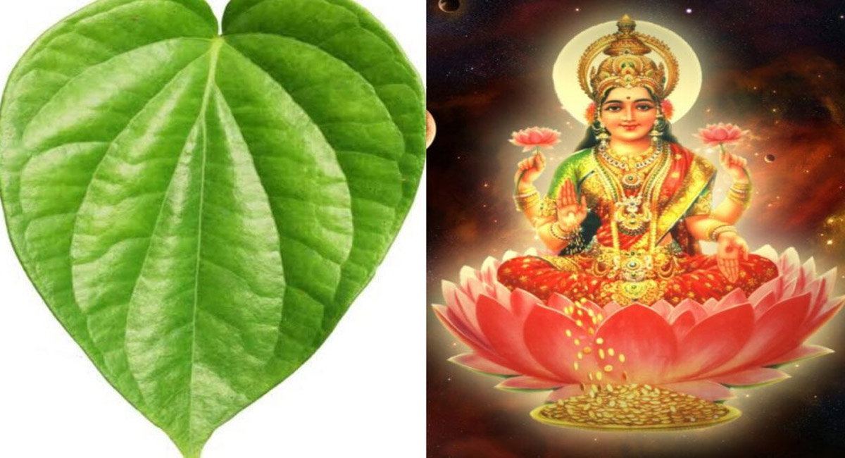 దురదృష్టం తొలగిపోయి అదృష్టవంతులు కావాలంటే తమలపాకుతో ఈ పరిహారాలు చేయాల్సిందే!