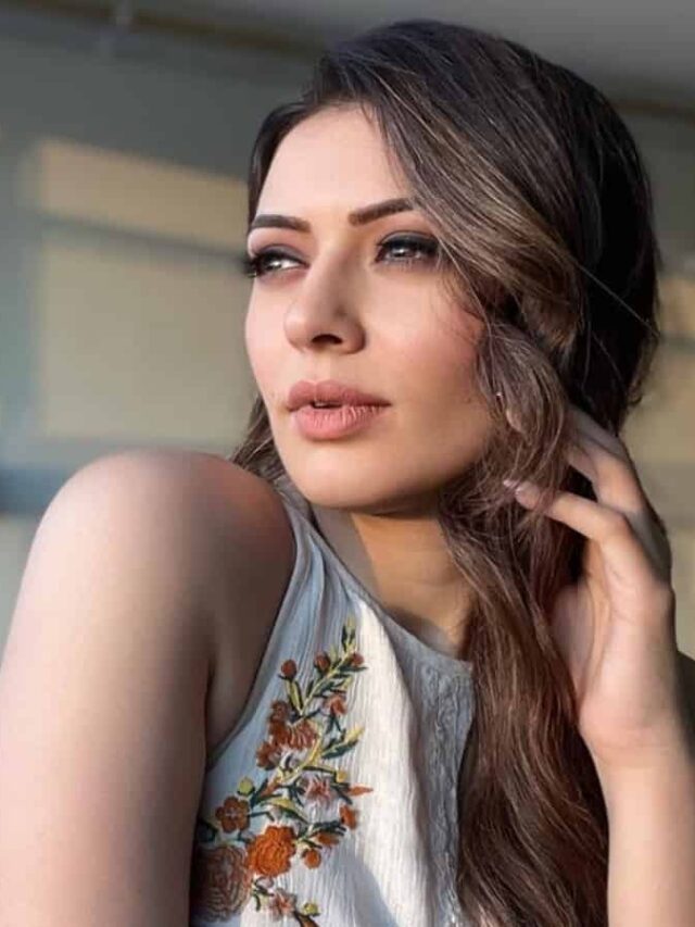 పెళ్లై నెల తిరగకుండానే అభిమానులకు షాకింగ్ న్యూస్ చెప్పబోతున్న హన్సిక!