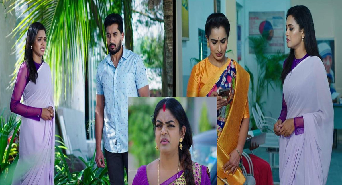 సౌర్య విషయంలో దీపను మోసం చేస్తున్న కార్తీక్…. తప్పు చేస్తున్నావంటూ కార్తీక్ ను హెచ్చరించిన చారుశీల!