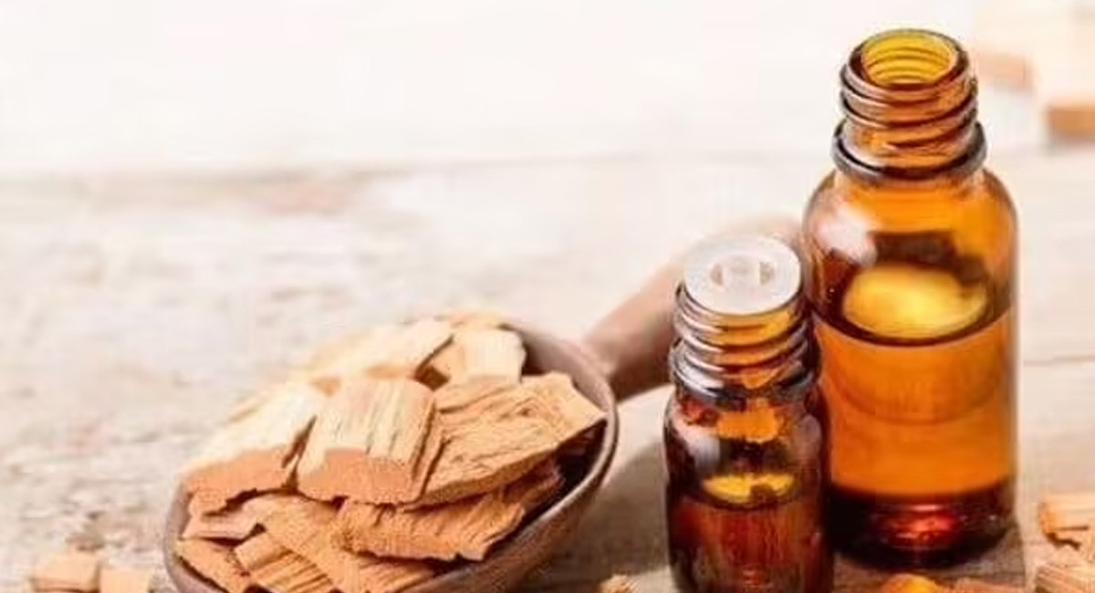 మానసిక రుగ్మతలను తరిమికొట్టే గంధపు నూనె… ఎలాగో తెలిస్తే ఆశ్చర్యపోతారు?