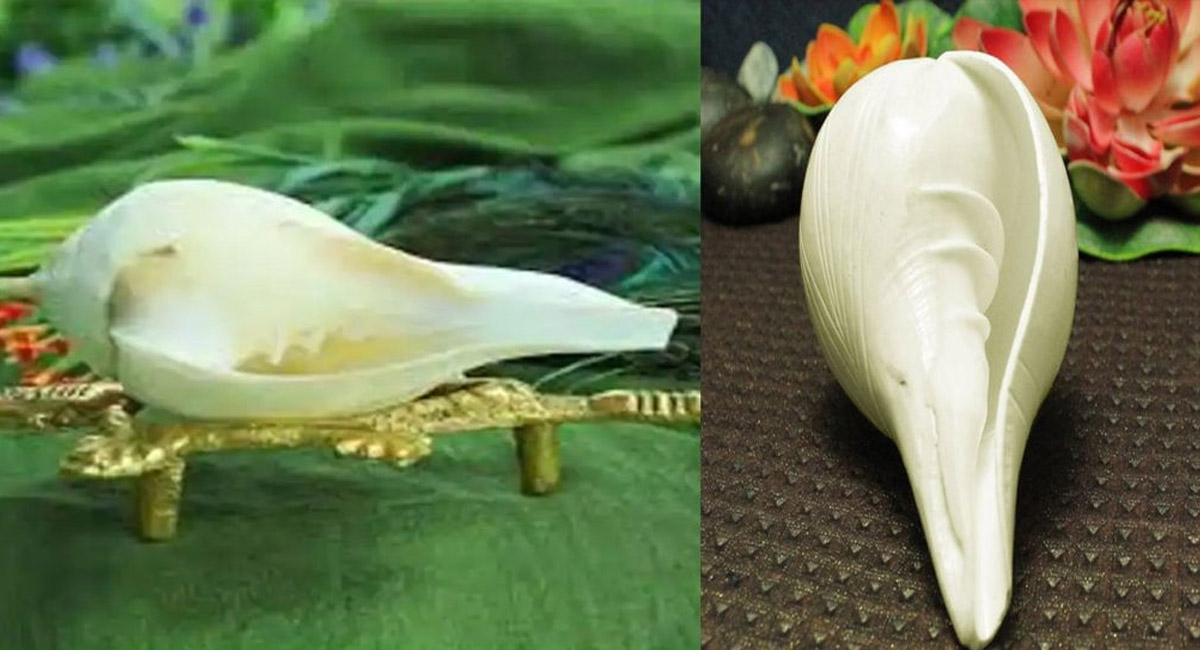 గవ్వలను ఇంట్లో పెట్టి పూజ చేయవచ్చా… గవ్వలను పూజించడం మంచిదేనా?