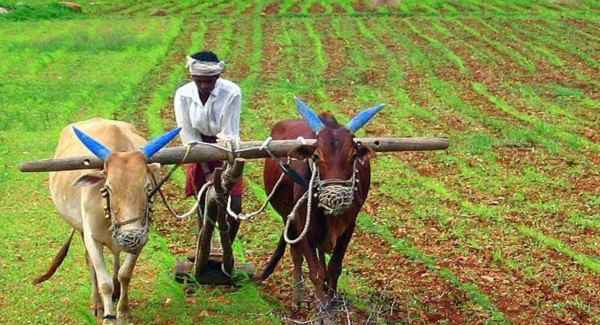 ఏపీ రైతులకు అదిరిపోయే గుడ్ న్యూస్.. రైతు భరోసా నగదు జమ కానుందా?