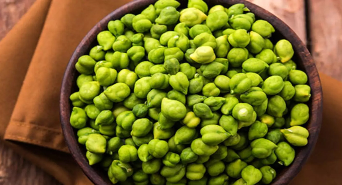 శీతాకాలంలో పచ్చి శెనగ గింజలను ఆహారంగా తీసుకుంటే ఈ మొండి వ్యాధులకు చెక్ పెట్టొచ్చు తెలుసా?