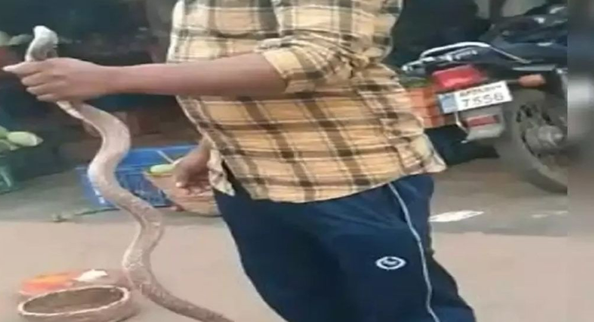 పాముతో సెల్ఫీలు… ఆ తర్వాత ఏం జరిగిందో తెలిస్తే ఫ్యూజులు ఎగిరిపోవాల్సిందే?