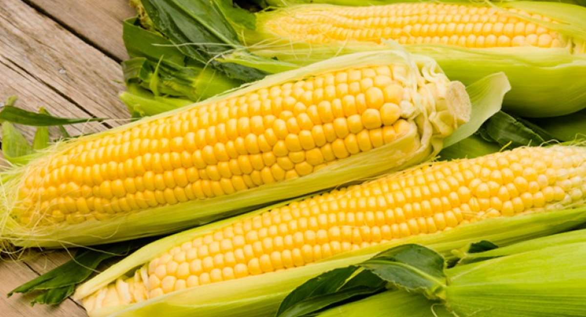 గుండె ఆరోగ్యాన్ని పెంచి, క్యాన్సర్ ముప్పును తగ్గించే సూపర్ ఫుడ్… ఇవి తింటే ఇది తింటే సమస్యకు చెక్ పెట్టవచ్చు!