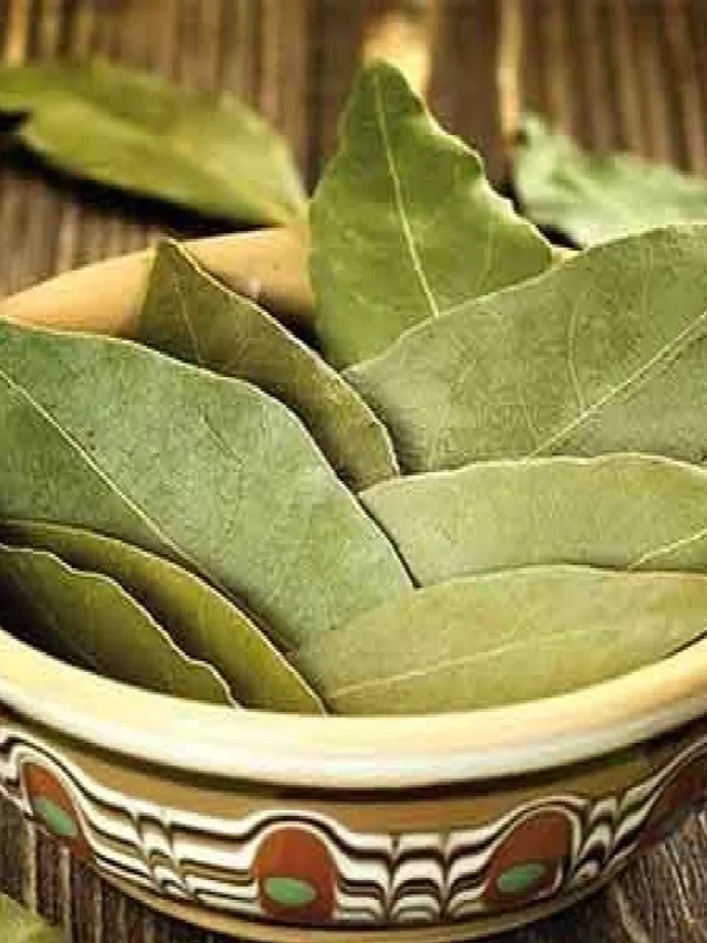 బిర్యానీ ఆకుల వల్ల ఇన్ని ఆరోగ్య ప్రయోజనాలు ఉన్నాయా… తెలిస్తే షాక్ అవ్వాల్సిందే!