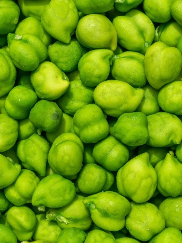 శీతాకాలంలో పచ్చి శెనగ గింజలను ఆహారంగా తీసుకుంటే ఈ మొండి వ్యాధులకు చెక్ పెట్టొచ్చు తెలుసా?