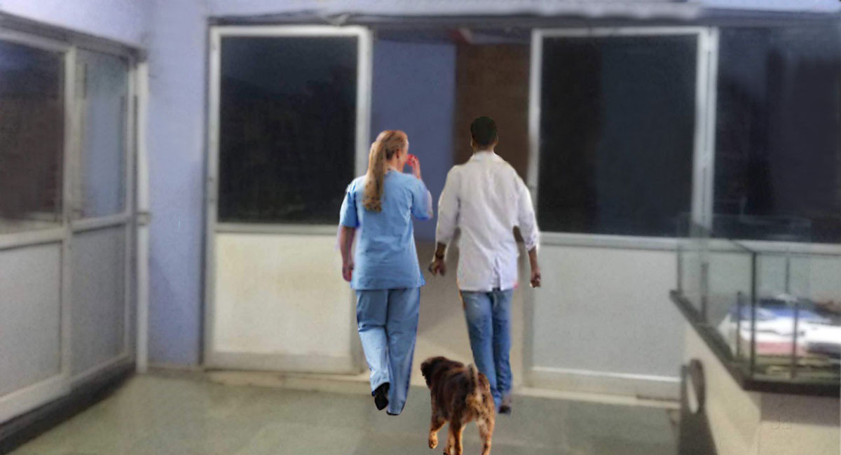 బీహార్ లో దారుణం…మహిళకు ఆపరేషన్ చేసి పిండాన్ని కుక్కకి తినిపించిన వైద్యులు…?