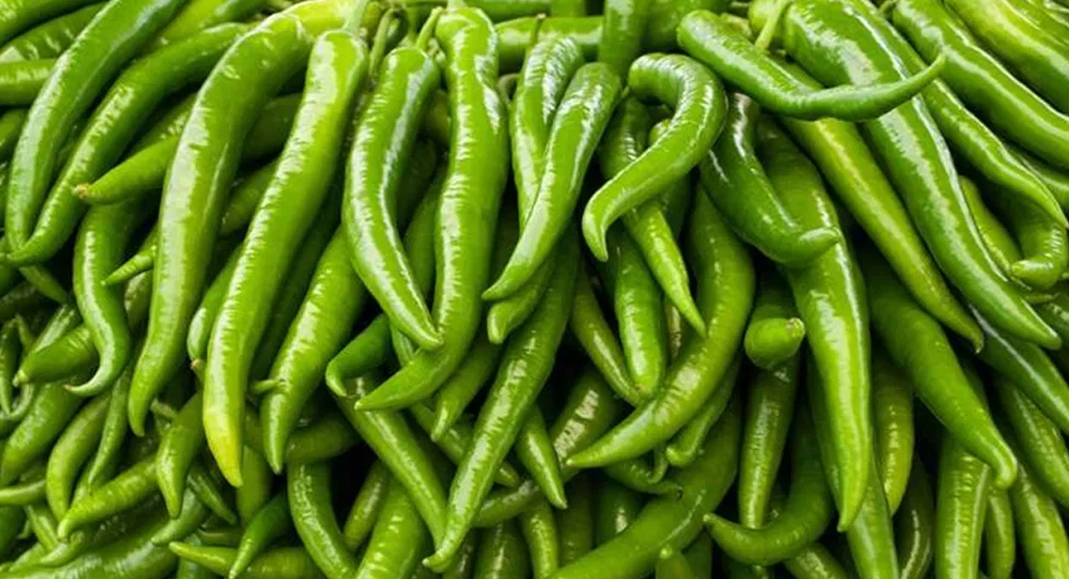 అధిక రక్తపోటు సమస్య ఉన్నవారు పచ్చిమిరపను ఆహారంగా తినొచ్చా! తింటే ఏమవుతుందో తెలుసా?