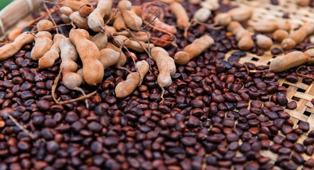 అద్భుత ఆయుర్వేద చిట్కాతో డయాబెటిస్ వ్యాధిని నియంత్రణలో ఉంచుకోవచ్చు.! ఎలాగంటే.?