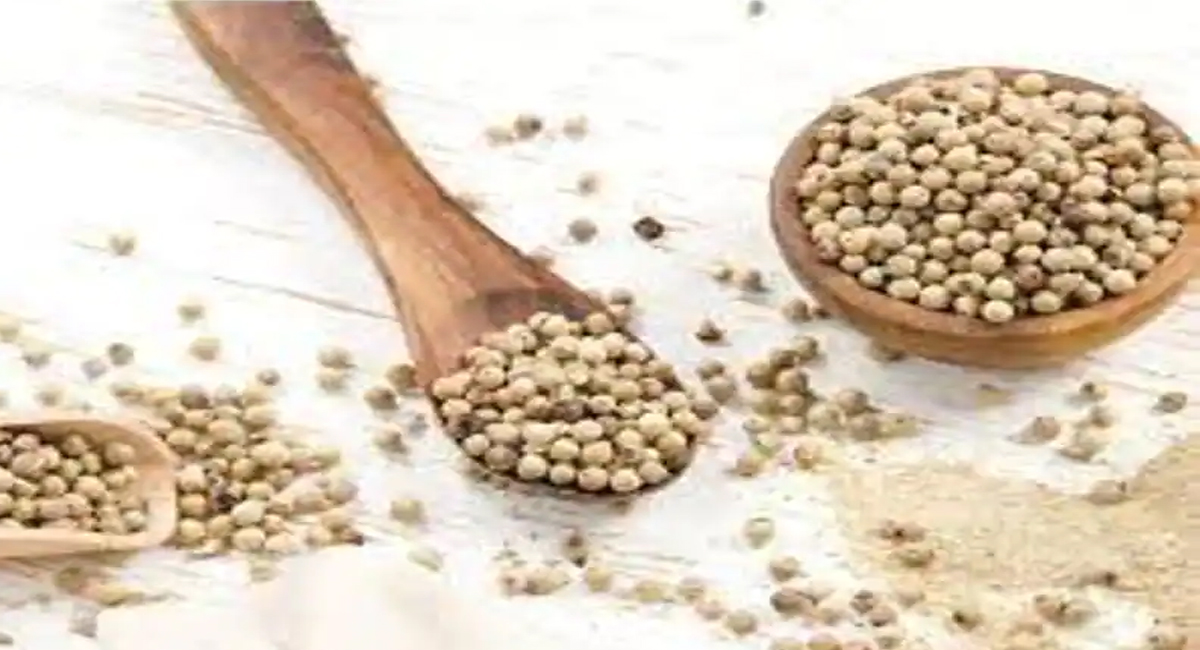 తెల్ల మిరియాలతో ఇలా చేస్తే ఉబకాయం, క్యాన్సర్, రక్తపోటు సమస్యలకు స్వస్తి చెప్పవచ్చు తెలుసా?