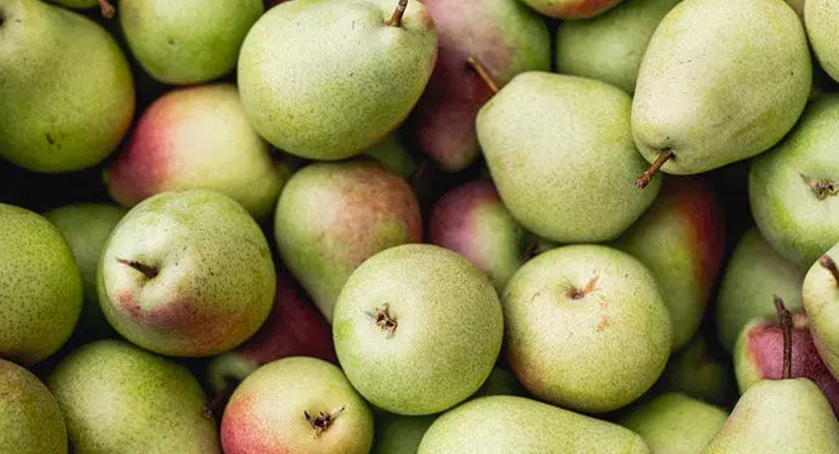 అరుదుగా లభించే ఈ పండ్లను ఆహారంగా తీసుకుంటే ఆశ్చర్యపరిచే ఆరోగ్య ప్రయోజనాలు మీ సొంతం!