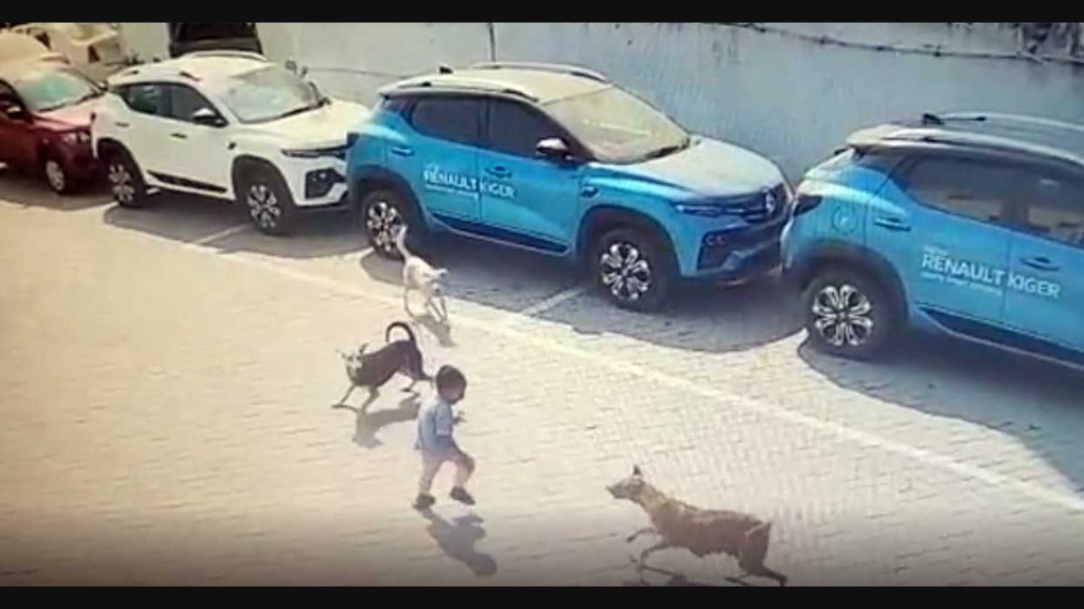 కుక్కని మనిషి చంపితే నేరం.! మనిషిని కుక్క చంపితే.!