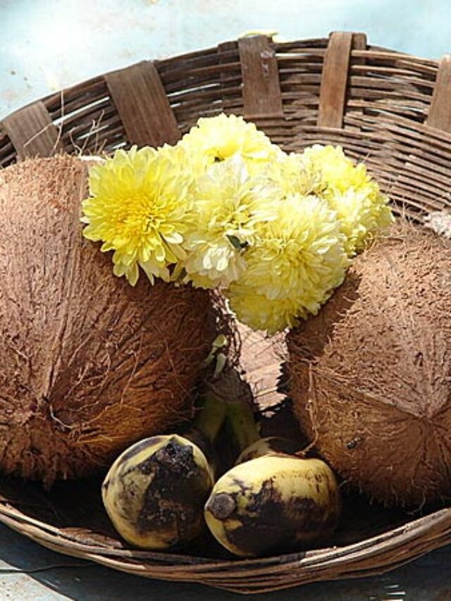 పూజ పూర్తయిన తర్వాత పురుషులు మాత్రమే కొబ్బరికాయ కొట్టడానికి గల కారణం ఏమిటి..?