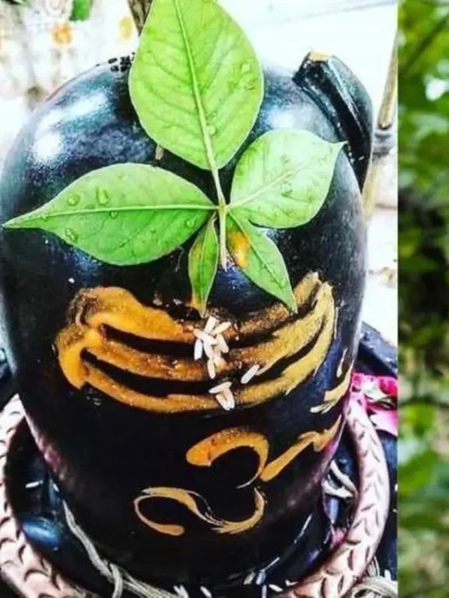 మహాశివరాత్రి రోజున శివలింగానికి బిల్వపత్రం సమర్పించేటప్పుడు పాటించవలసిన నియమాలు..?