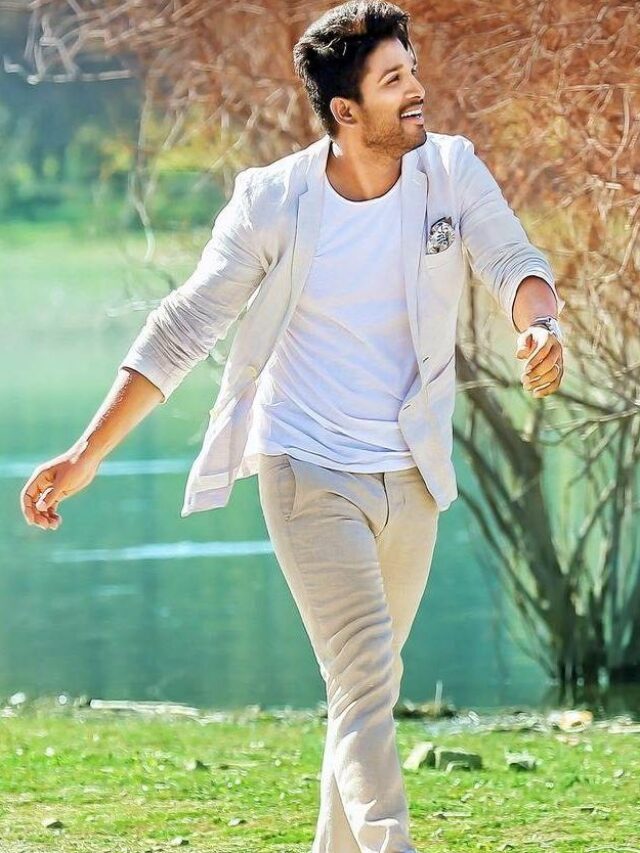 Allu Arjun and Shahrukh Khan In a Movie?