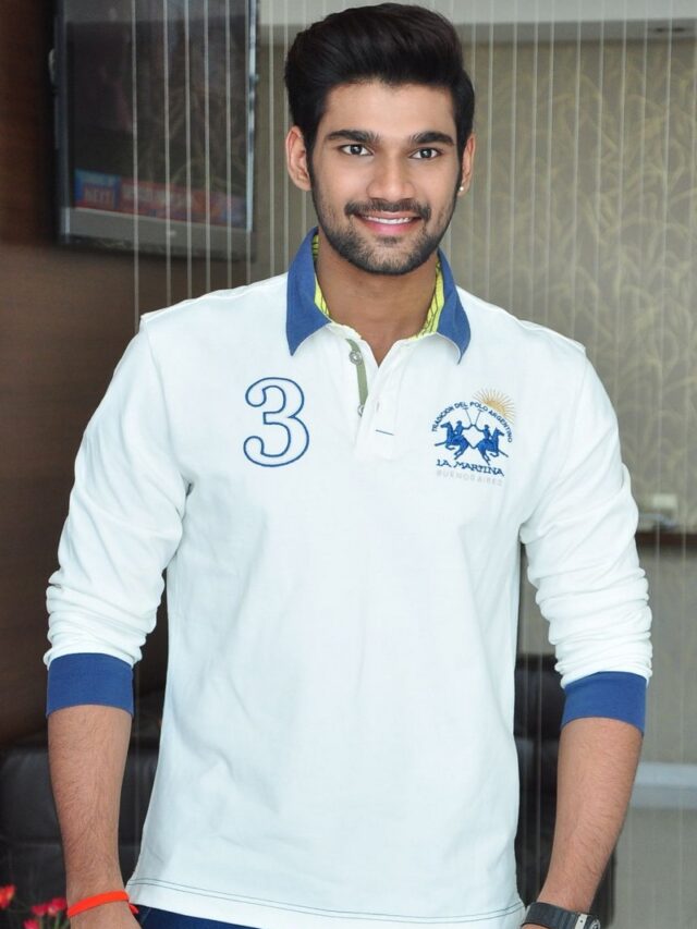 Latest Update On The Chatrapathi Hindi Remake