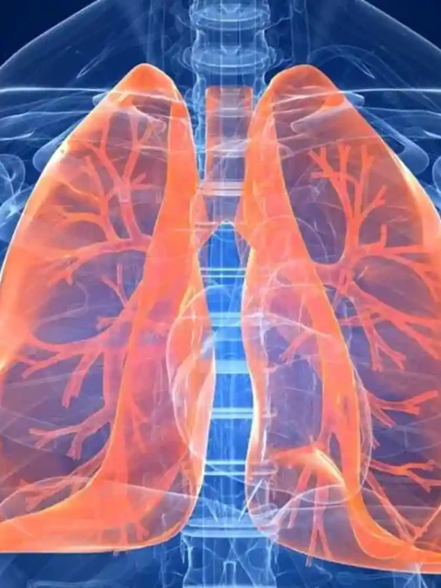 ఊపిరితిత్తుల సమస్య వెంటాడుతుందా… ఈ ఆహారం తప్పనిసరి!