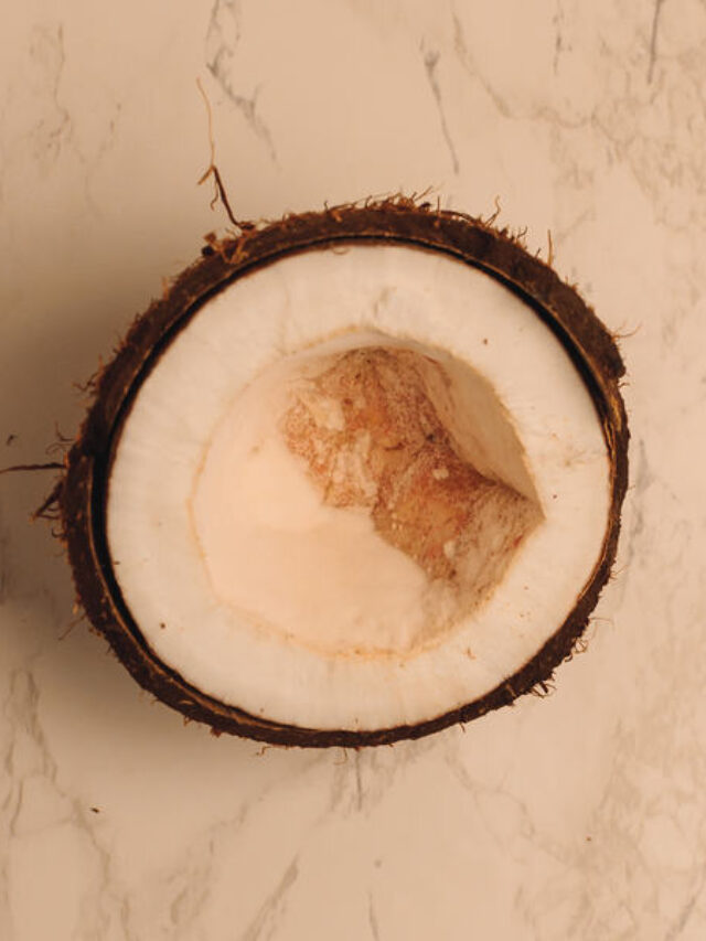 కొబ్బరికాయ కుళ్ళిపోతే అశుభమా… అలా జరిగితే సమస్యలు తప్పవా..?