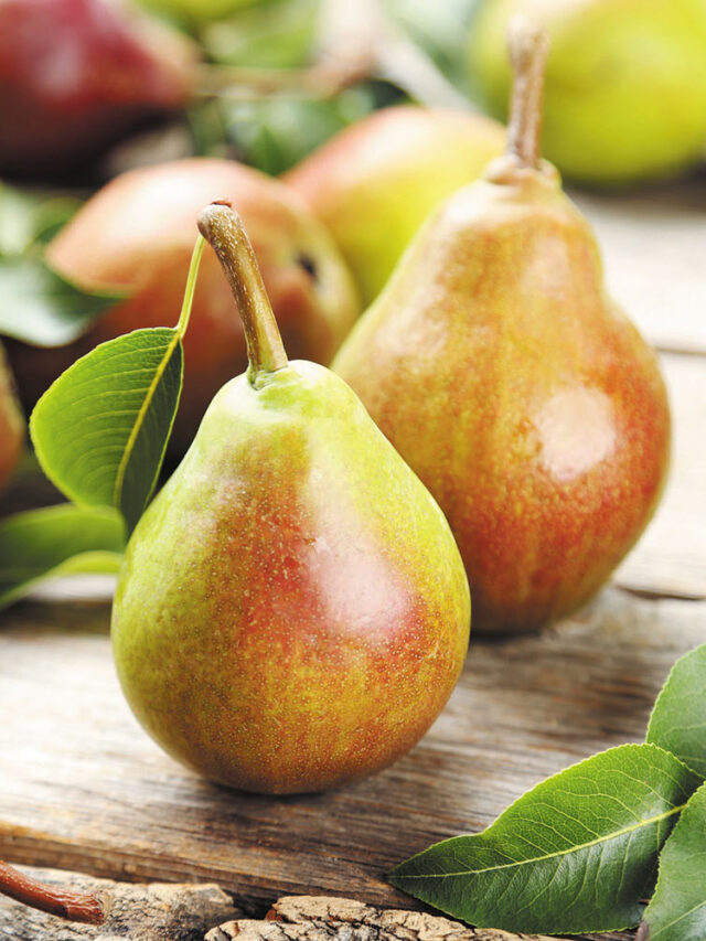 అరుదుగా లభించే ఈ పండ్లను ఆహారంగా తీసుకుంటే ఆశ్చర్యపరిచే ఆరోగ్య ప్రయోజనాలు మీ సొంతం!