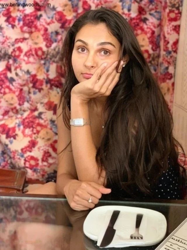 Andrea Jeremiah Opens Up About Her Affairs