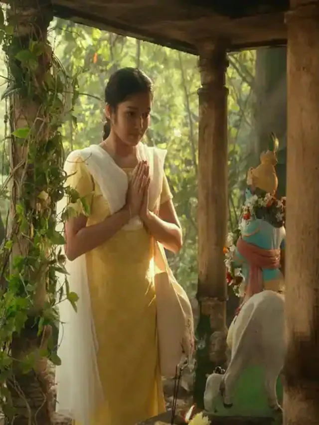 Butta Bomma Thank The Audience In The Post Release Press Meet