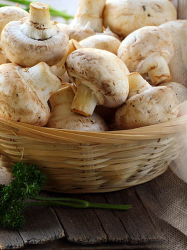 పుట్టగొడుగులు ఆహారంగా తీసుకుంటే ఈ వ్యాధుల ముప్పు తప్పదా…. నిపుణులు ఏమంటున్నారంటే?