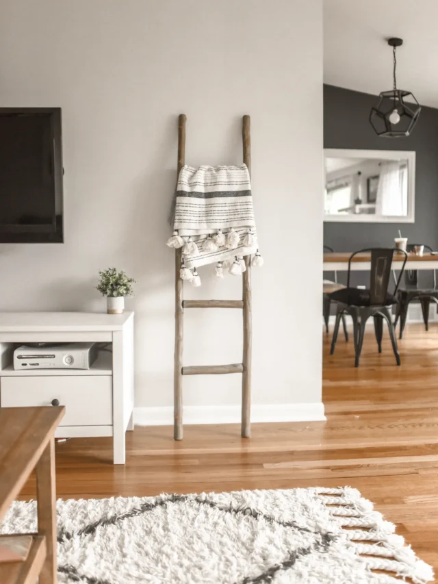 ఇలాంటి వస్తువులు పొరపాటున ఇంట్లో ఉంచితే తీవ్ర పరిణామాలు ఎదుర్కోవలసి వస్తుంది..?