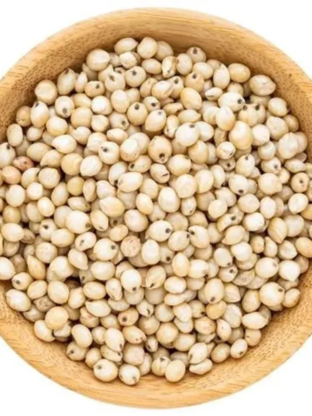 సంపూర్ణ ఆరోగ్యం పొందాలంటే.. ప్రతి రోజూ ఆహారంలో ఇవి తప్పనిసరి?