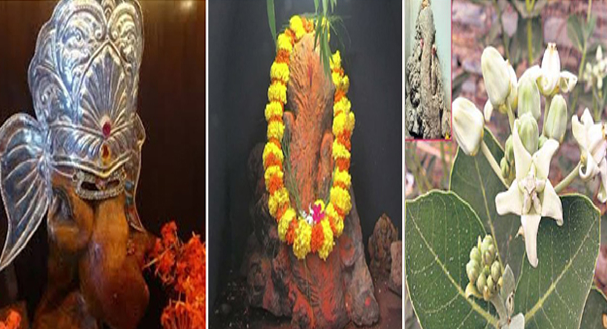 దుష్ట శక్తులు దరిచేరకుండా ఉండాలంటే మీ ఇంటి ఆవరణలో ఈశాన్యం వైపు ఈ మొక్క నాటితే చాలు..?