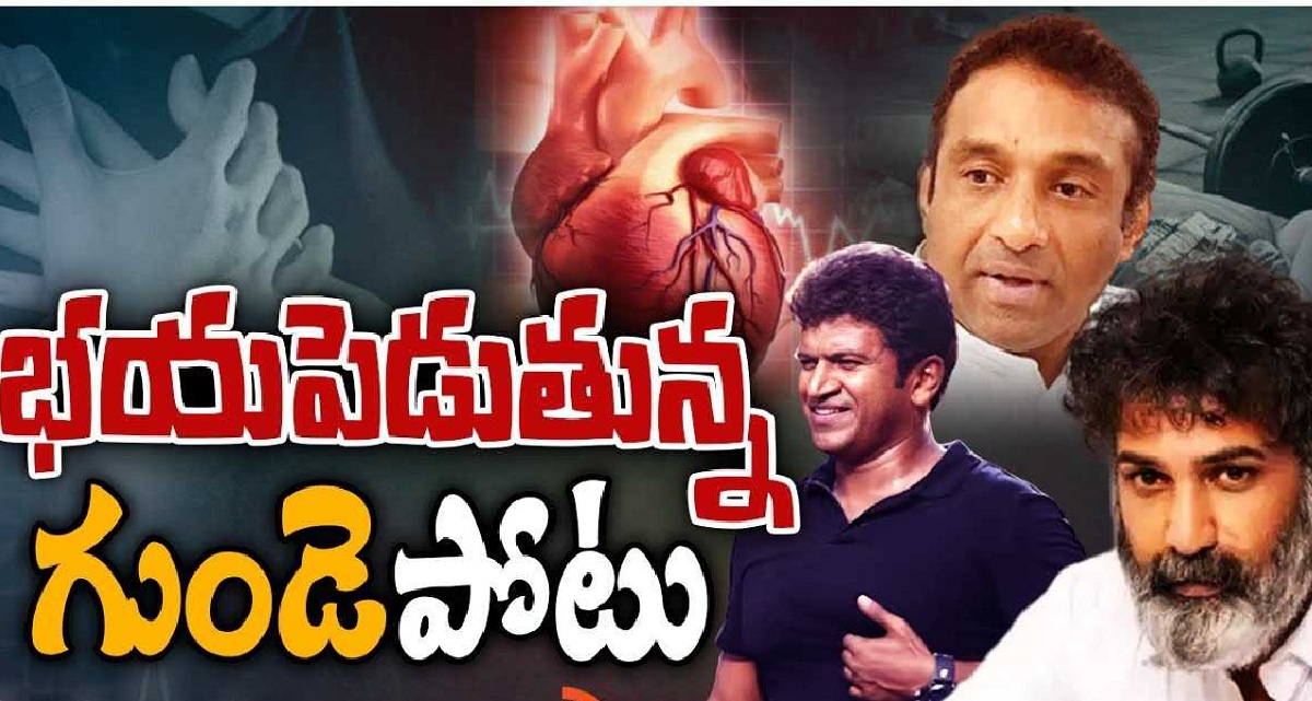 గుండె ‘పోటు’.! అవన్నీ కోవిడ్ మరణాలేనా.?
