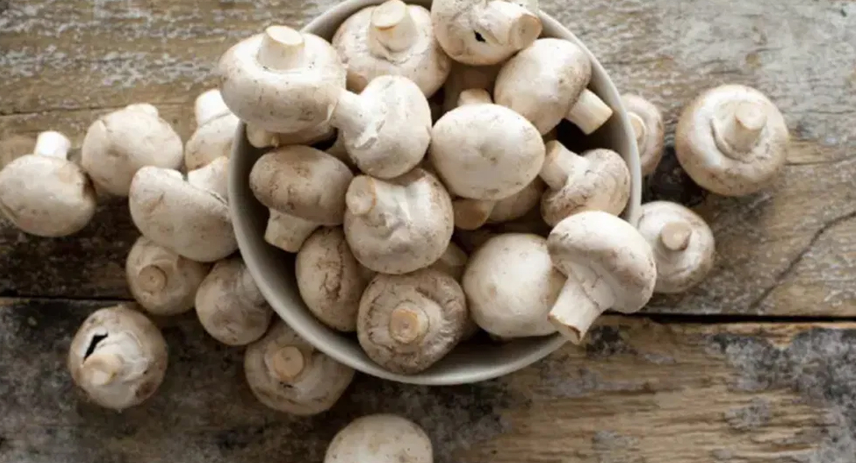 పుట్టగొడుగులు ఆహారంగా తీసుకుంటే ఈ వ్యాధుల ముప్పు తప్పదా…. నిపుణులు ఏమంటున్నారంటే?