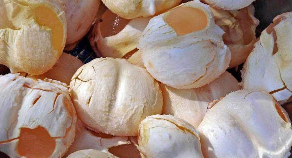 తాటి ముంజలతో వేసవిలో వచ్చే సమస్యలన్నిటికీ చెక్ పెట్టొచ్చు…. ఎలాగో తెలిస్తే ఆశ్చర్యపోతారు.!