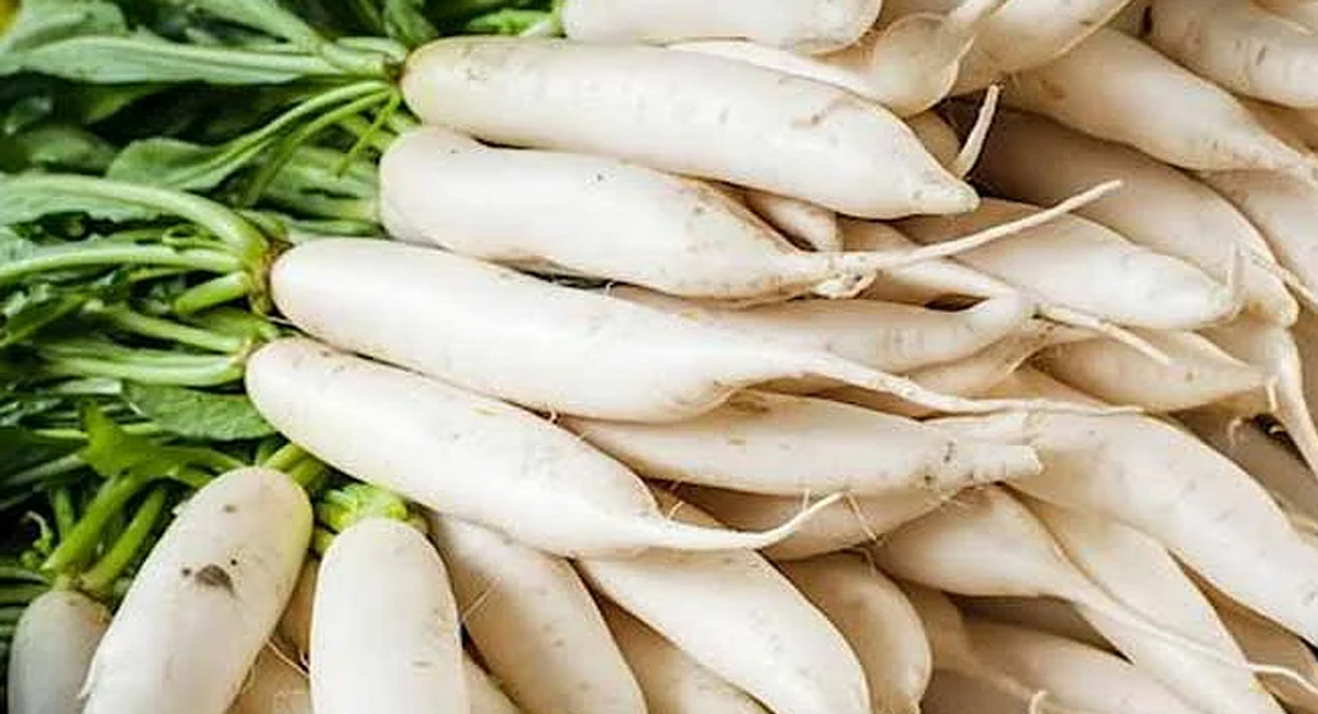 ముల్లంగి తో కలిపి వీటిని తింటున్నారా? అయితే మీరు ప్రమాదంలో పడినట్లే?