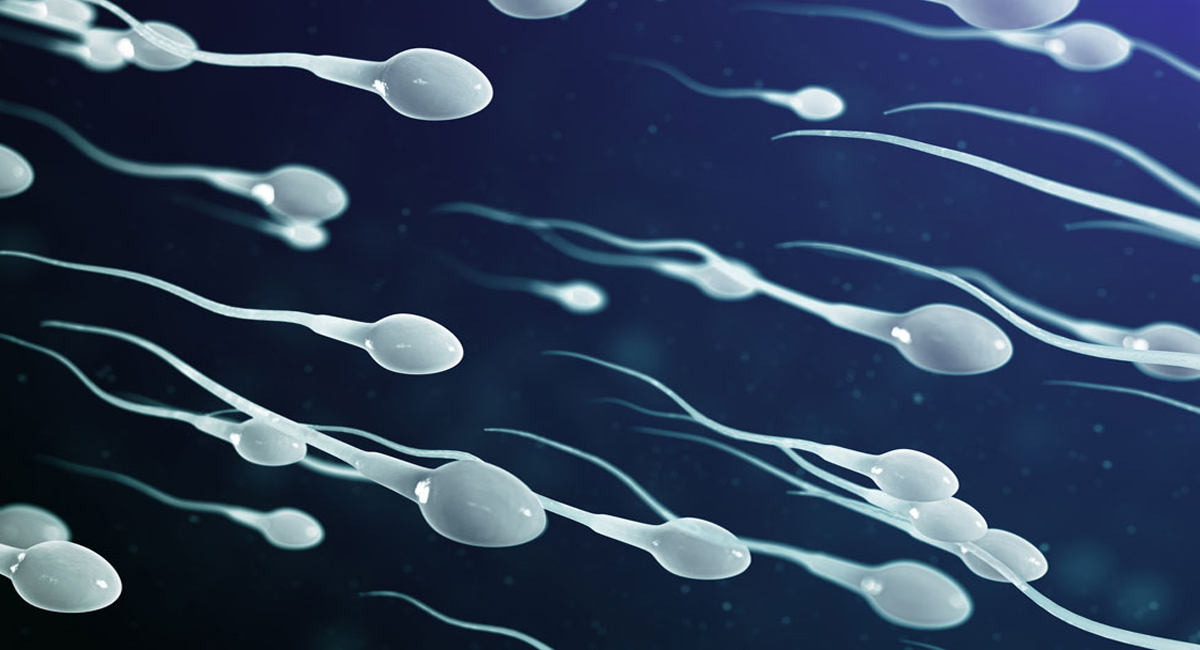 మగవాళ్లు స్పెర్మ్ కౌంట్ పెంచుకోవాలని భావిస్తున్నారా.. తినాల్సిన ఆహారాలివే!
